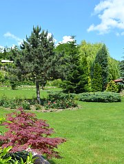 Vila Raze de Soare - Mini gradina botanica, Oradea
