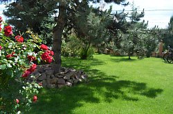 Vila Raze de Soare - Mini gradina botanica, Oradea