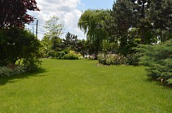 Vila Raze de Soare - Mini gradina botanica, Oradea
