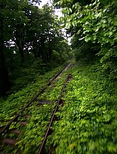 Calea Ferata Oravita-Anina, Oravita, Foto: Sorin Stanciu