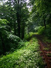 Calea Ferata Oravita-Anina, Oravita, Foto: Sorin Stanciu