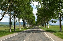 Oravița·, Photo: Ramona Stângu