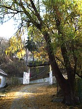 Villa and Garden Tire, Oravița·, Photo: Ramona Stângu