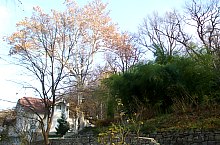 Villa and Garden Tire, Oravița·, Photo: Ramona Stângu