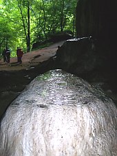 Peștera Meziad, Foto: Nicolae Moldoveanu