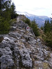 Câmpușel - under Piatra Iorgovanului peak hiking trail, Retezat mountains, Photo: Emilia Bota