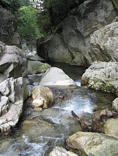 Cascada Lolaia, Muntii Retezat, Foto: Sorin Nicolas