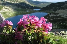 Anna tó, Retyezát hegység., Fotó: Mihai Păcuraru