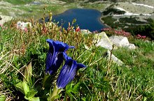 Anna tó, Retyezát hegység., Fotó: Mihai Păcuraru