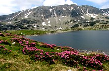 Lacul Bucura, Muntii Retezat, Foto: Mihai Păcuraru