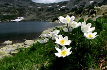 Lacul Bucura, Muntii Retezat, Foto: Mihai Păcuraru
