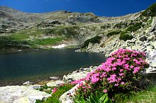 Lacul Bucura, Muntii Retezat, Foto: Mihai Păcuraru