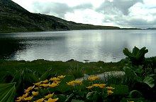 Lacul Bucura, Muntii Retezat, Foto: Mihai Bursesc