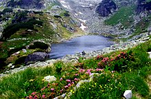 Florica tó, Retyezát hegység., Fotó: Emilia Bota