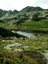 Lacul Stanisoara, Muntii Retezat, Foto: Mihai Bursesc