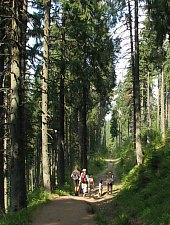 Rausor, Muntii Retezat, Foto: Mihai Păcuraru