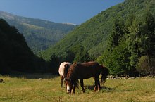 Rausor, Muntii Retezat, Foto: Mihai Păcuraru