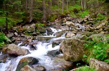 Pietrele patak, Fotó: Matei Domniță