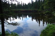 Tăul dintre brazi, Fotó: Petrescu Nicolae