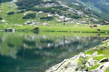 Gales tó, Fotó: Florin Hălăștăuan