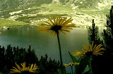 Gales tó, Fotó: Mihai Bursesc