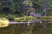 Tăul dintre brazi, Fotó: Cosmin Manci