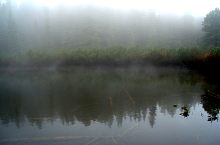 Tăul dintre brazi, Fotó: Petrescu Nicolae