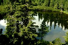 Tăul cu brazi, Fotó: Mihai Bursesc