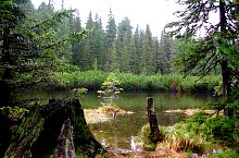 Tăul dintre brazi, Fotó: Richard Hoffmann