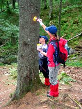 Se vopsește traseul aproape de Crucea trăsnitului, Foto: Alin Ivașcu