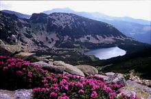 Creasta Slăveiului, Foto: Nicolae Șerban Părău