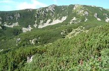 Prin jnepeniș, Foto: Radu Dârlea