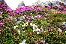 Az úton, Fotó: Cristina Sârbu