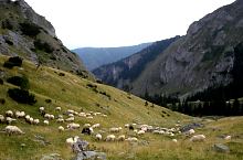 Scorota nyereg, Fotó: Sorin Sanda