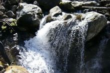 Turcului patak, Fotó: Silviu Vulcan