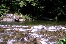 Zlata patak, Fotó: Răzvan Coca