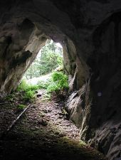 Retyezát hegység: Zeicului barlang