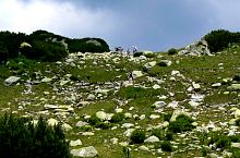 Út a Peleaga tisztás felé, Fotó: Marian Ghibu