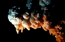 Pestera cu Corali, Muntii Retezat, Foto: Augustin Ardeleanu