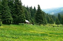 Peleaga tisztás, Fotó: Marian Ghibu