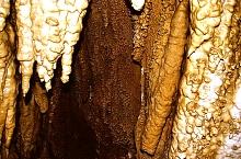 Pestera cu Corali, Muntii Retezat, Foto: Wilhelm Scherz