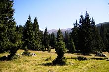 Peleaga tisztás, Fotó: Radu Dârlea