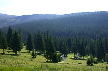 Peleaga tisztás, Fotó: Cosmin Manci