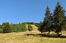 Stana de Rau, Muntii Retezat, Foto: Mihai Păcuraru