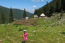 Stana de Rau, Muntii Retezat, Foto: Mihai Păcuraru