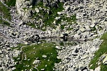 Agățat , Fotó: Radu Dârlea