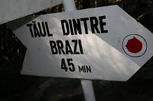 Lake between trees, Retezat mountains·, Photo: Cătălin Lucan