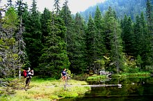 Lake between trees, Retezat mountains·, Photo: Sorin Nicolas