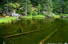 Lake between trees, Retezat mountains·, Photo: Sorin Nicolas
