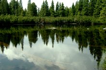 Lake between trees, Retezat mountains·, Photo: Mihai Bursesc